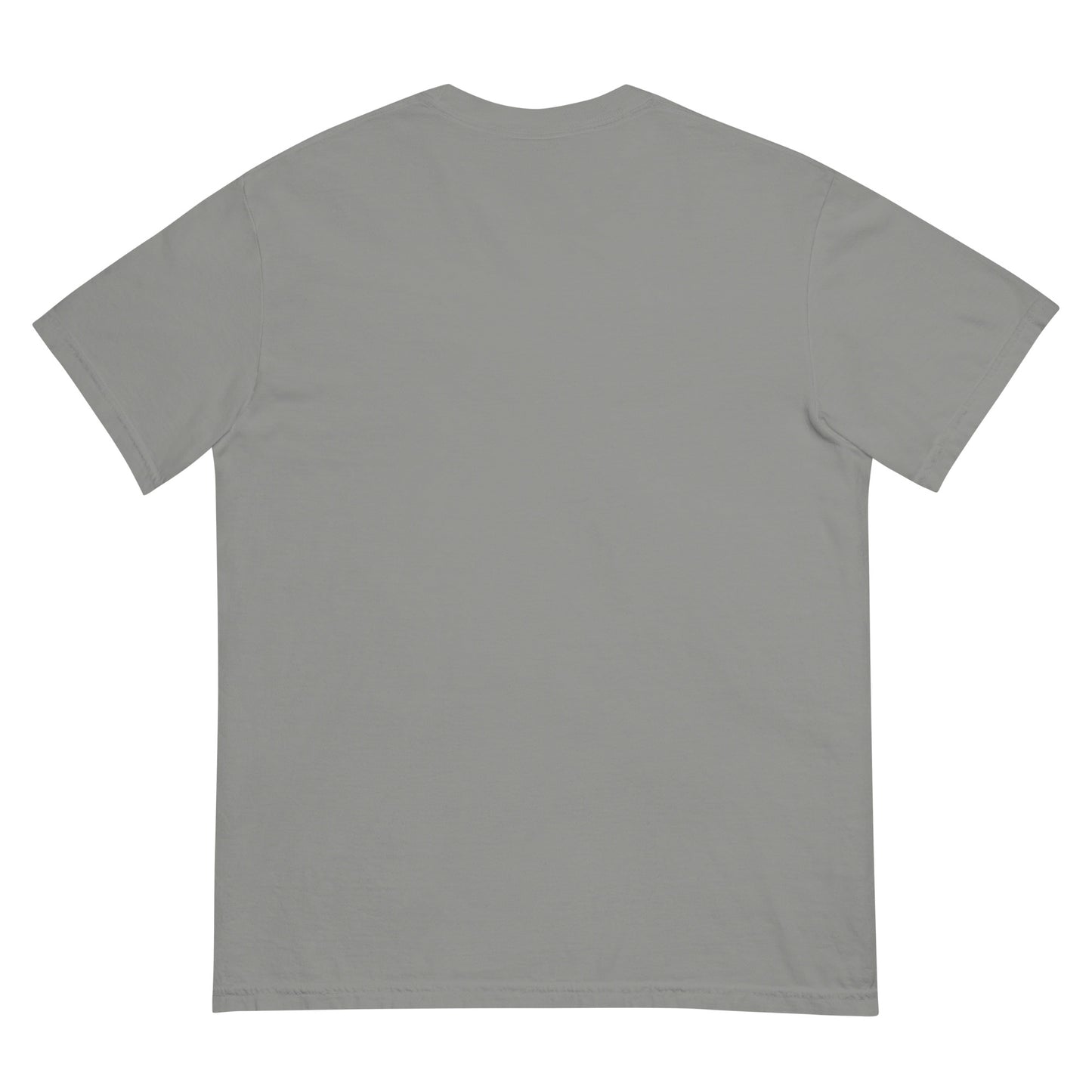 DRSS Unisex Garment-dyed Heavyweight T-shirt