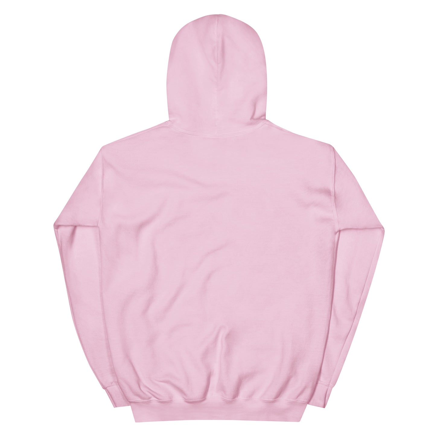 DRSS Unisex Hoodie